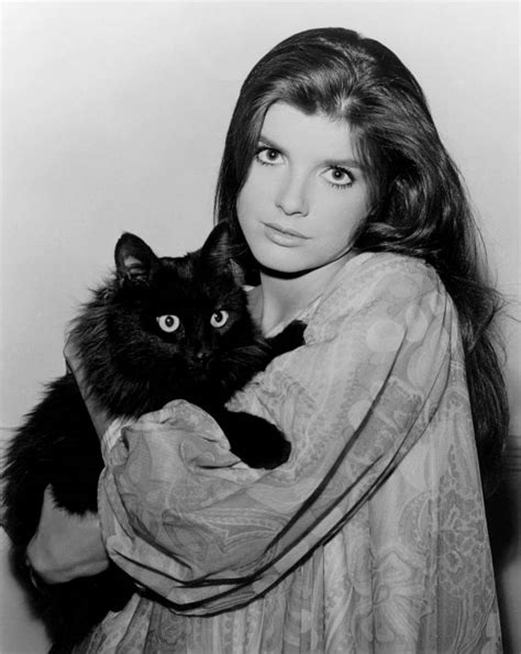 katharine ross|katharine ross wikipedia.